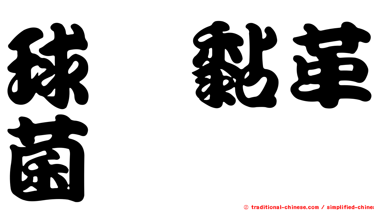 球孢黏革菌