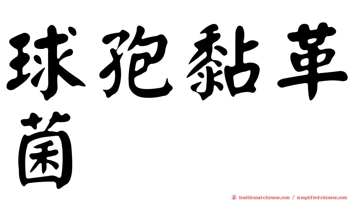 球孢黏革菌