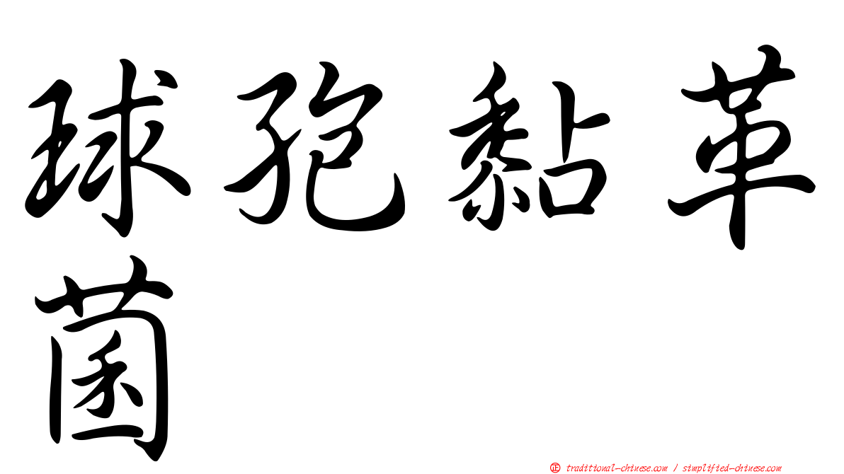 球孢黏革菌