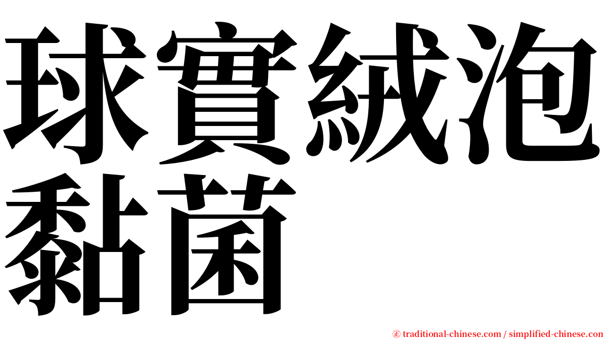 球實絨泡黏菌 serif font
