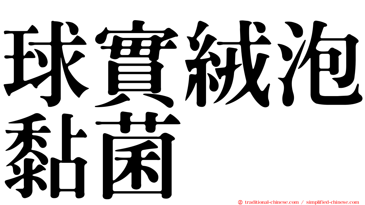 球實絨泡黏菌