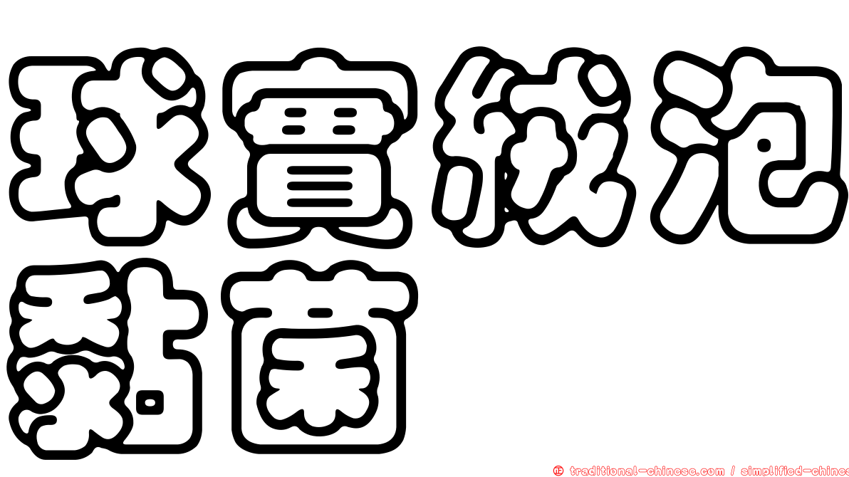 球實絨泡黏菌
