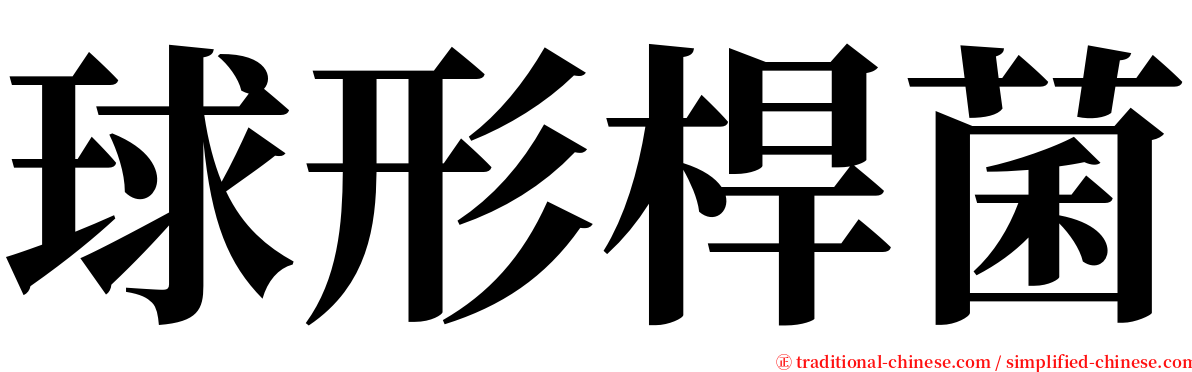 球形桿菌 serif font