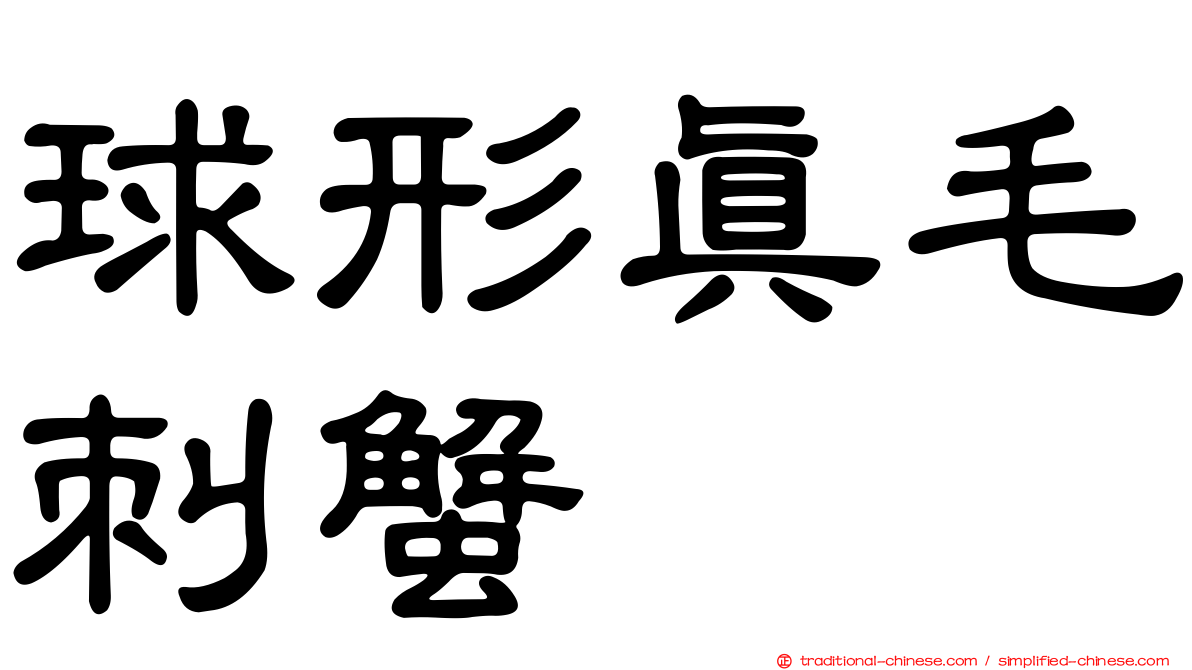 球形真毛刺蟹
