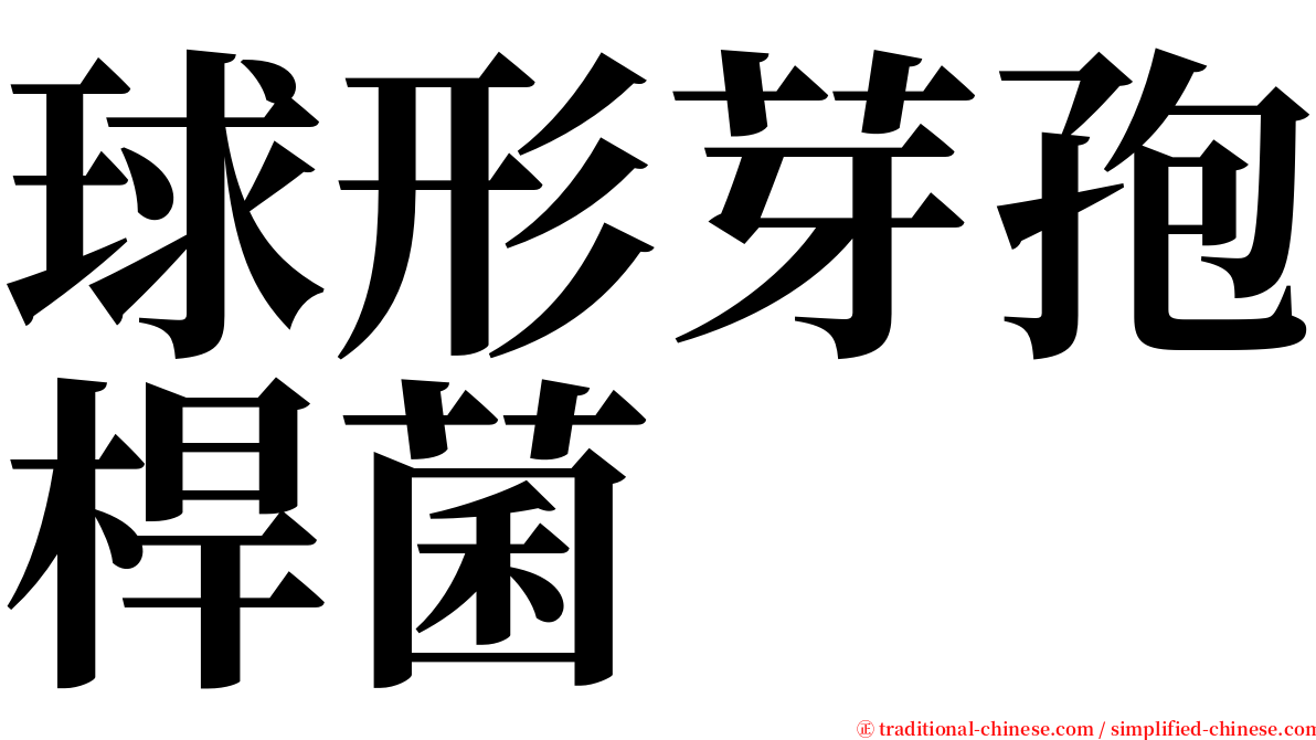 球形芽孢桿菌 serif font