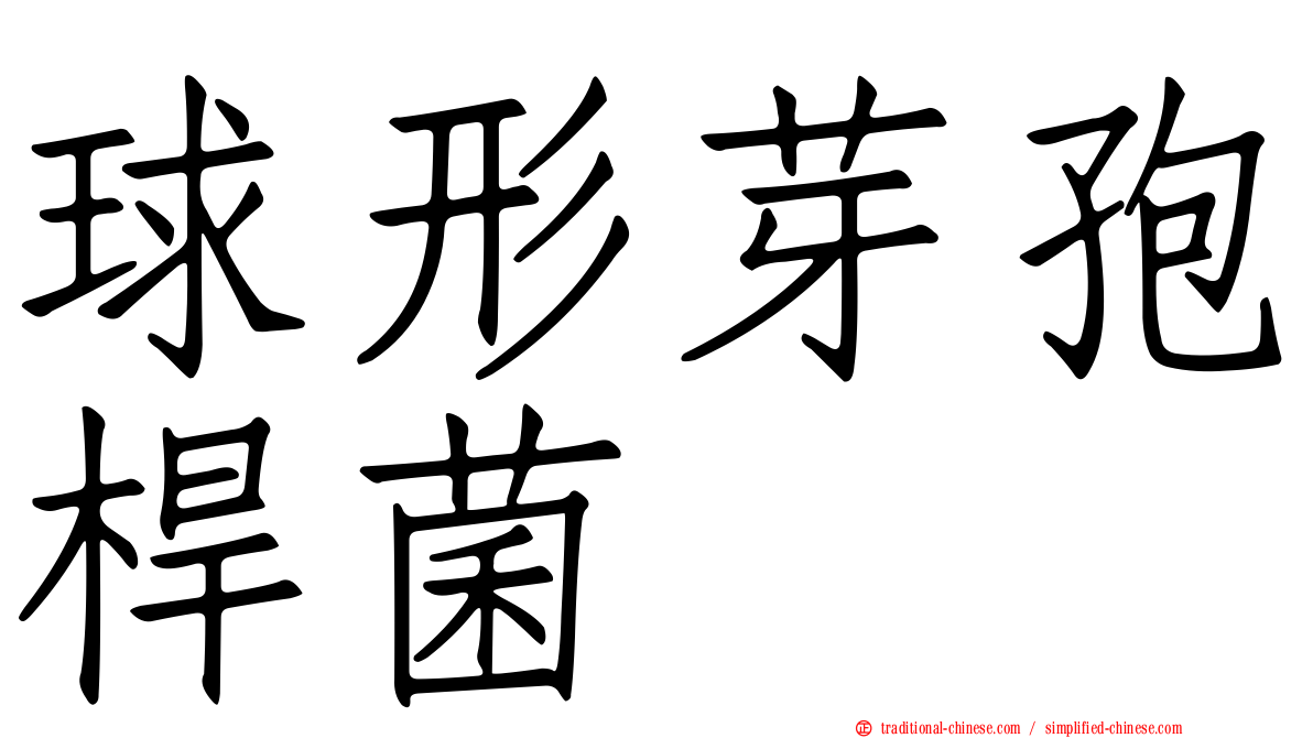 球形芽孢桿菌