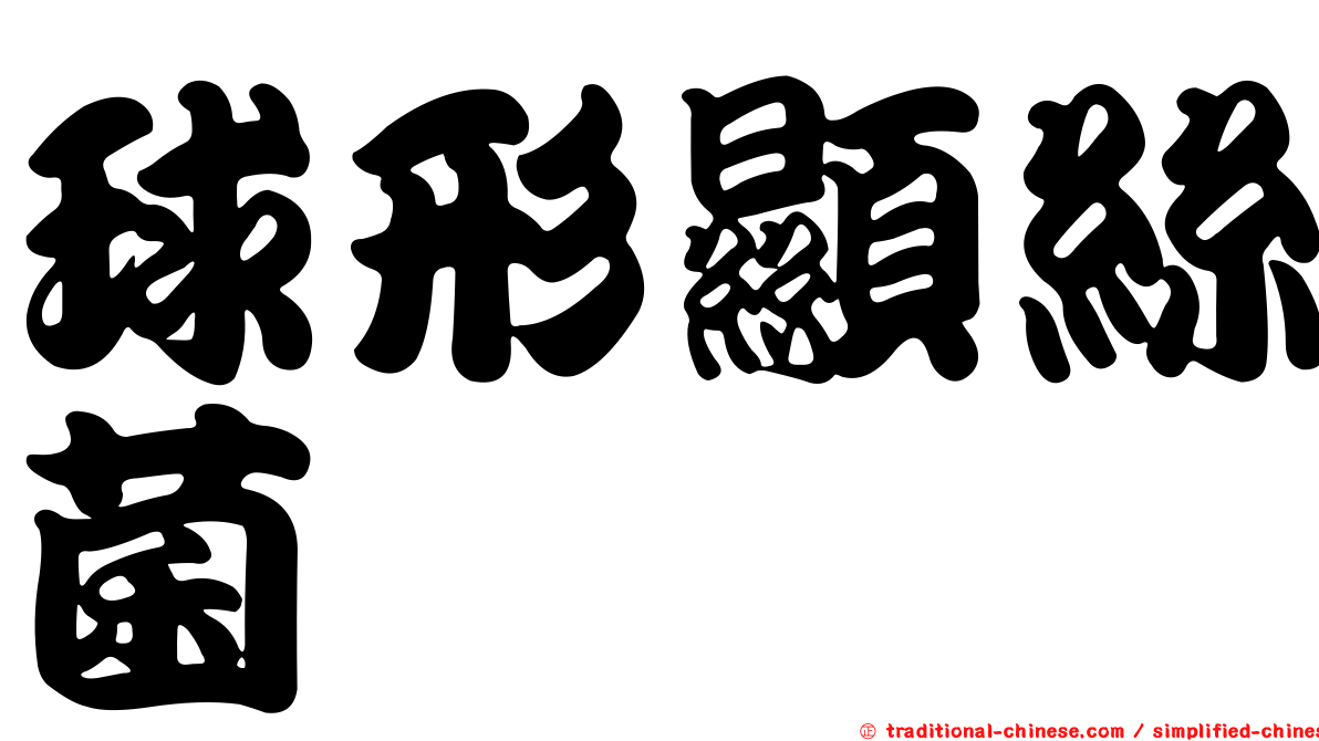 球形顯絲菌
