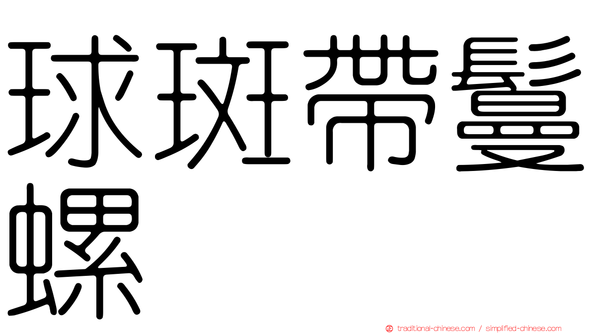 球斑帶鬘螺