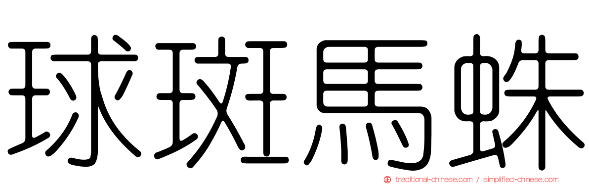 球斑馬蛛