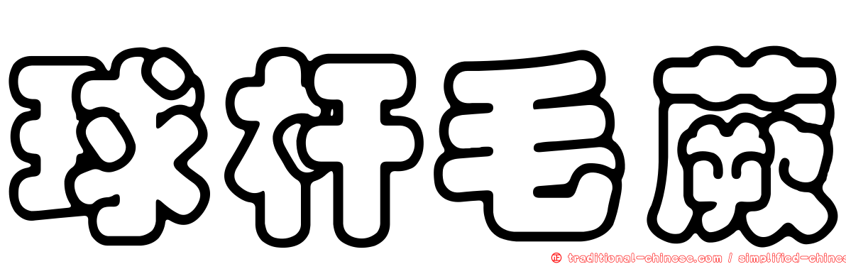 球杆毛蕨