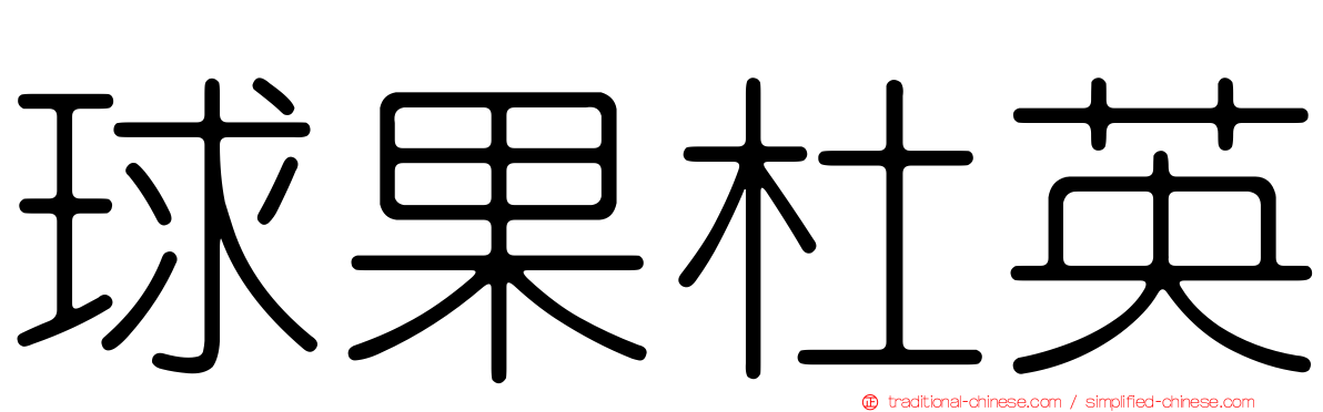 球果杜英