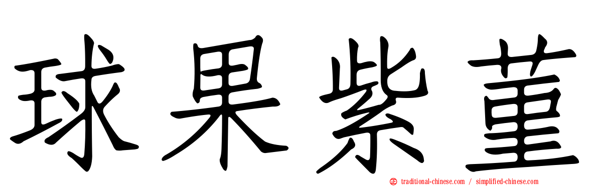 球果紫菫
