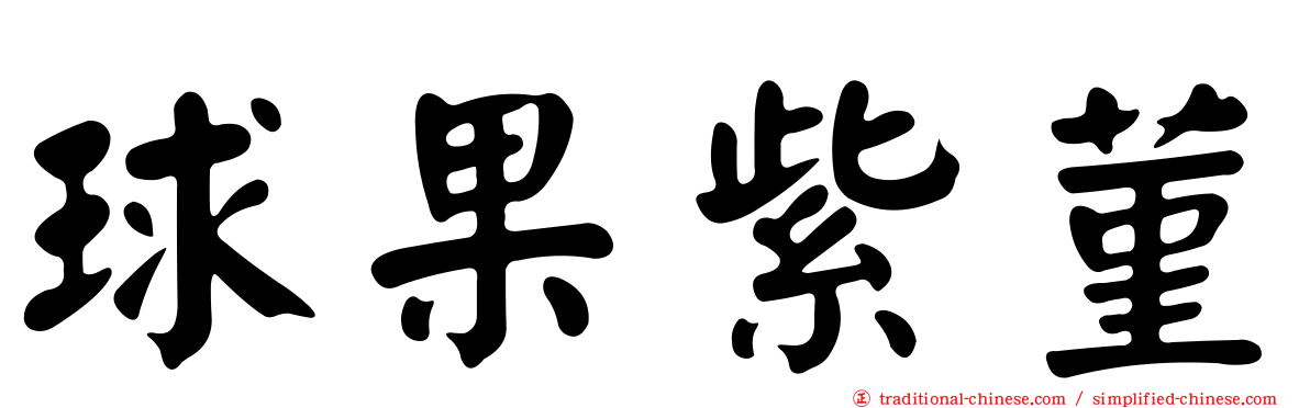 球果紫菫