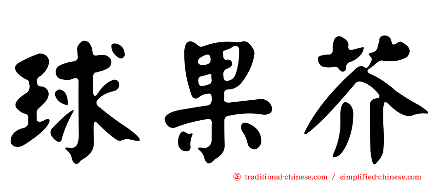 球果芥