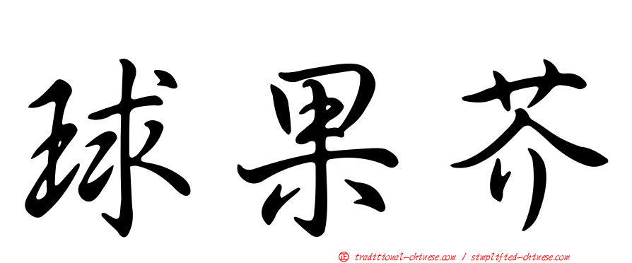 球果芥
