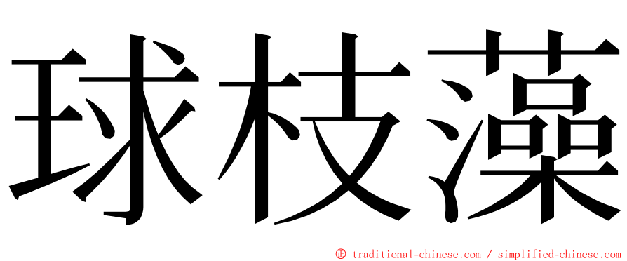 球枝藻 ming font