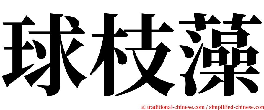 球枝藻 serif font