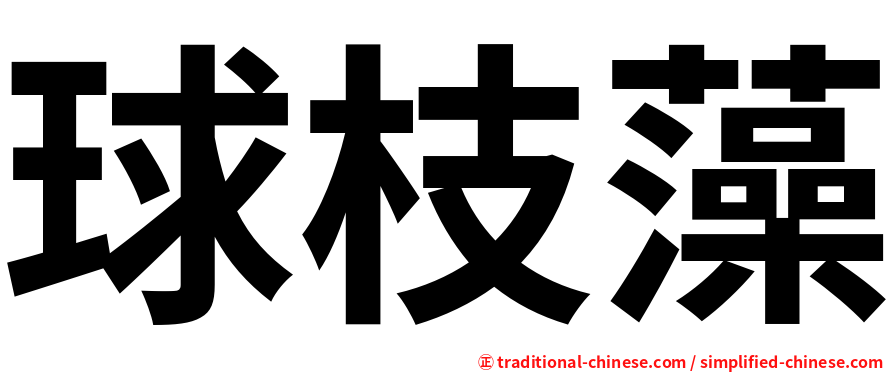 球枝藻