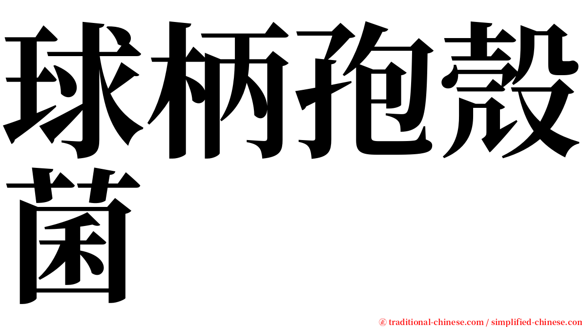 球柄孢殼菌 serif font