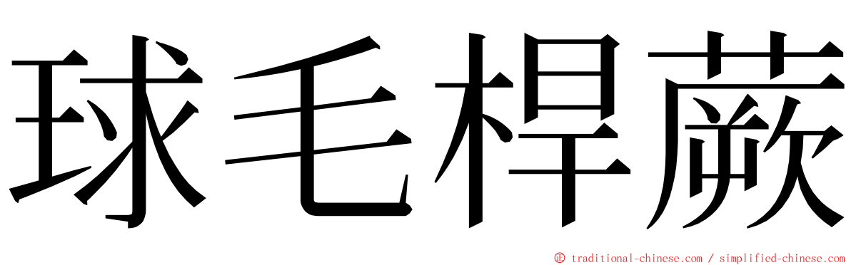 球毛桿蕨 ming font