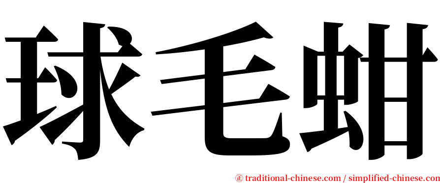 球毛蚶 serif font