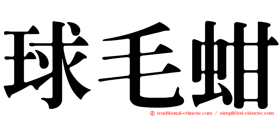 球毛蚶