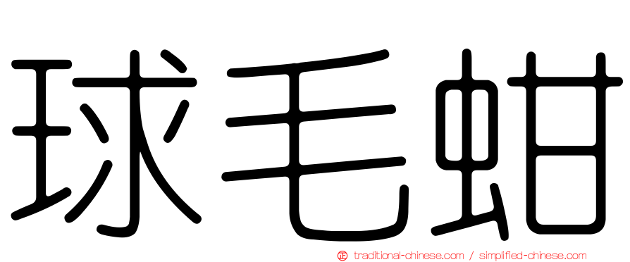 球毛蚶
