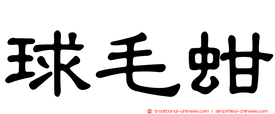球毛蚶