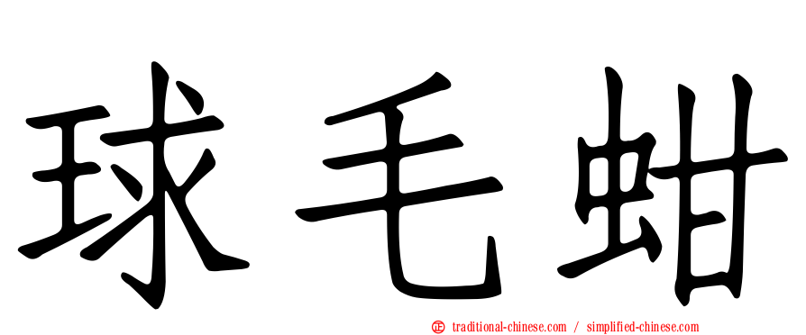 球毛蚶