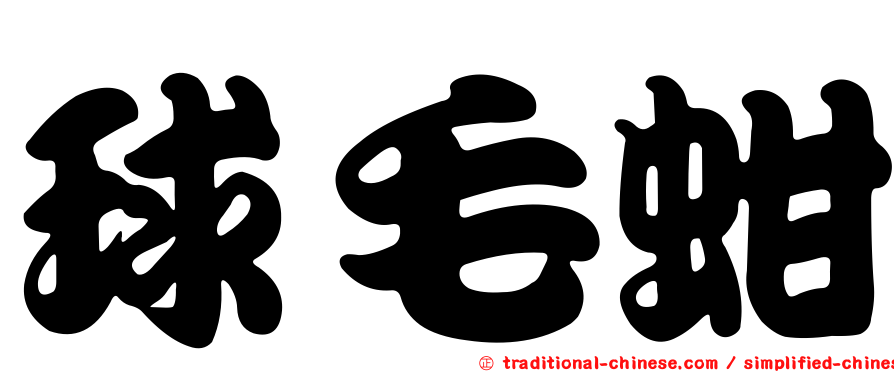 球毛蚶