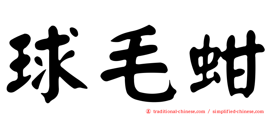 球毛蚶
