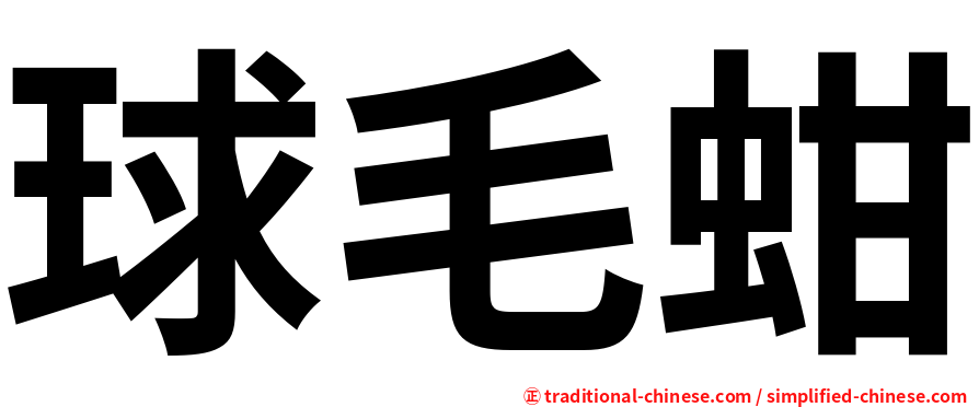 球毛蚶