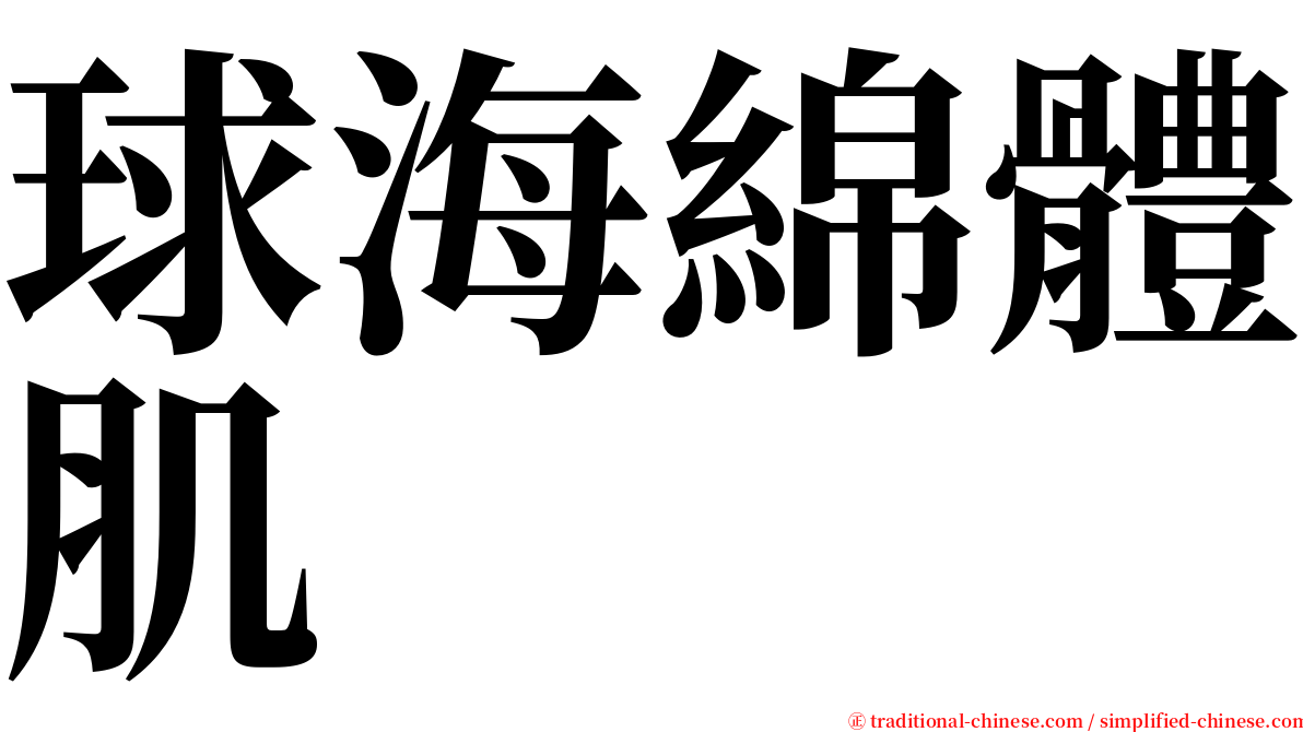 球海綿體肌 serif font