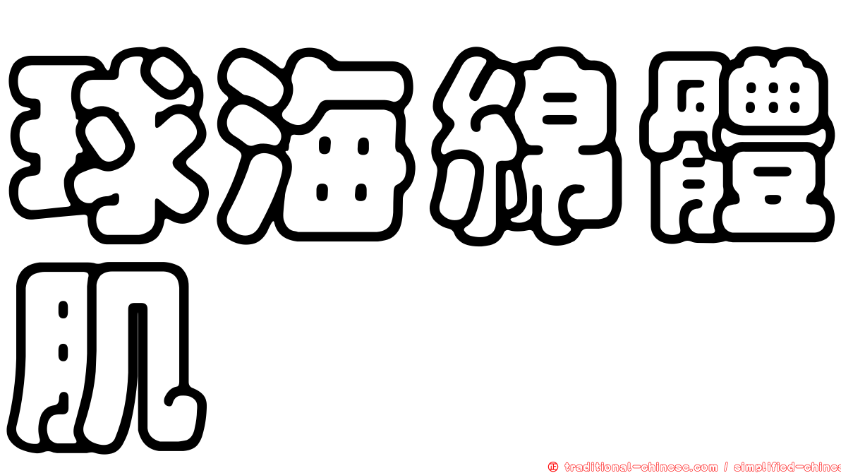 球海綿體肌
