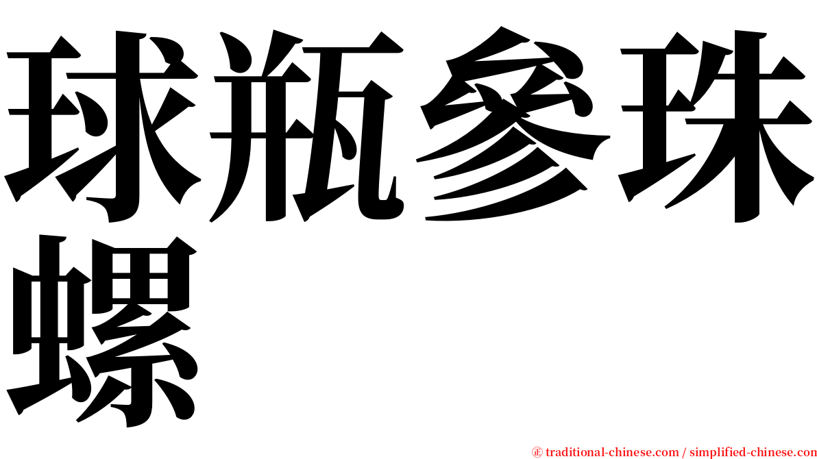 球瓶參珠螺 serif font