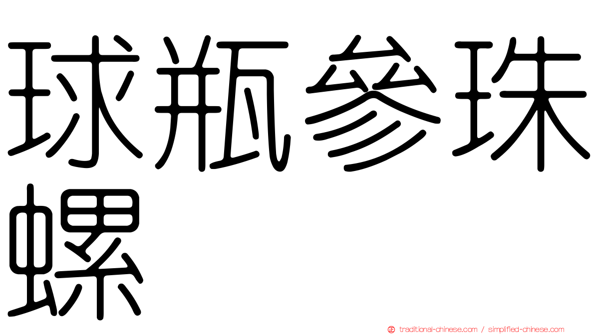 球瓶參珠螺