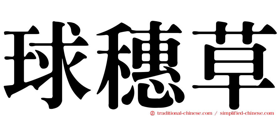 球穗草