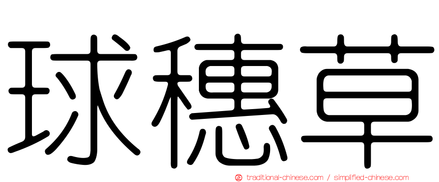 球穗草