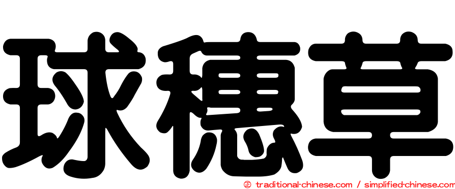 球穗草