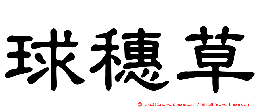球穗草