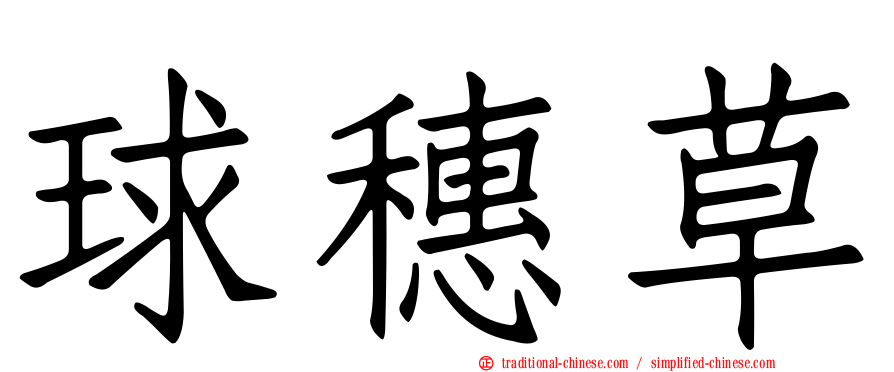 球穗草