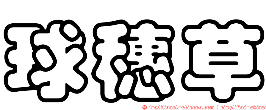 球穗草