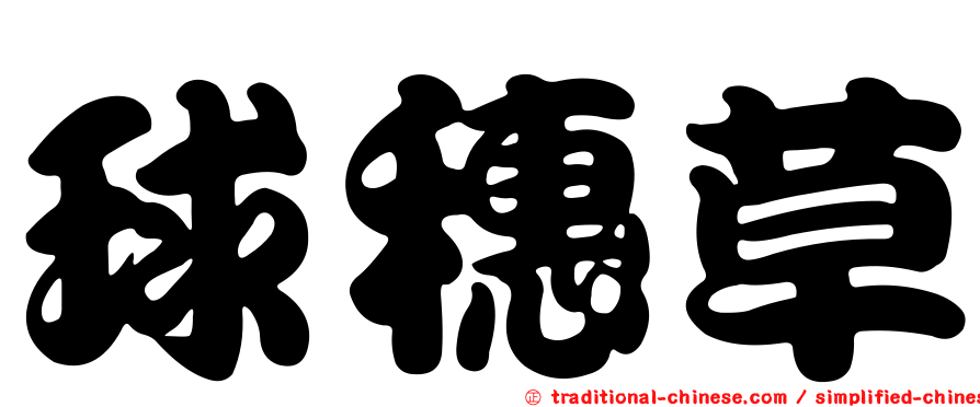 球穗草