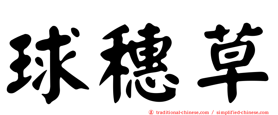 球穗草