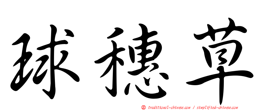 球穗草