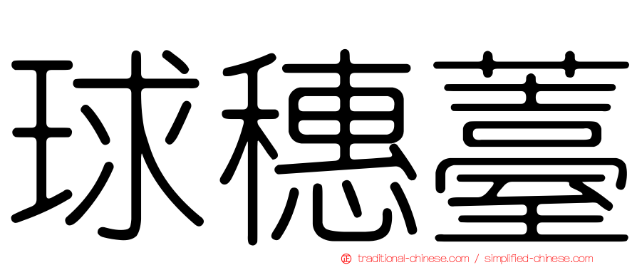 球穗薹