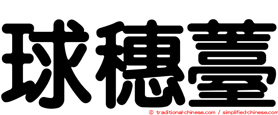 球穗薹