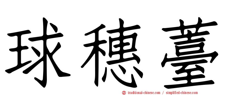 球穗薹