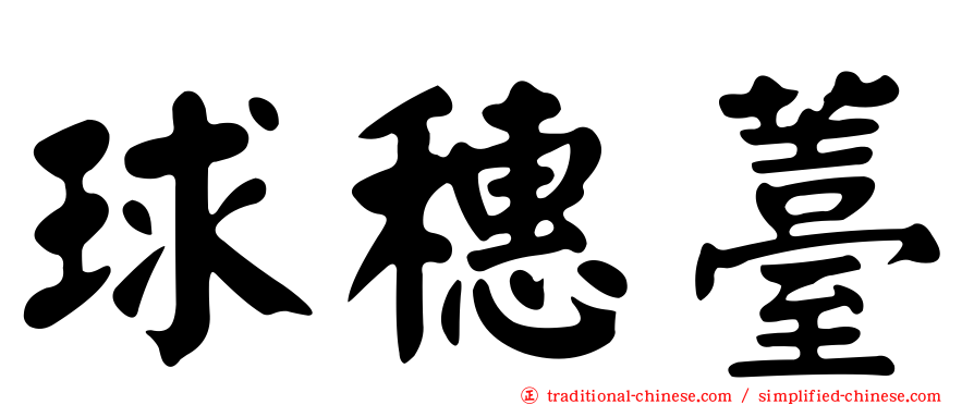 球穗薹