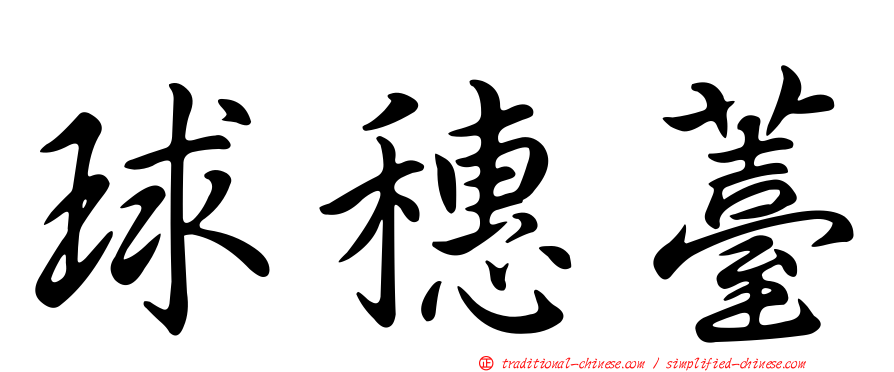球穗薹